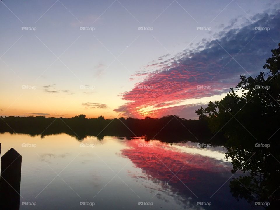Reflection of silhouette tress with dramatic sky
