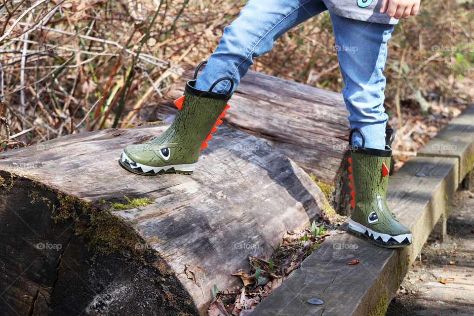 Dinosaur rain boots