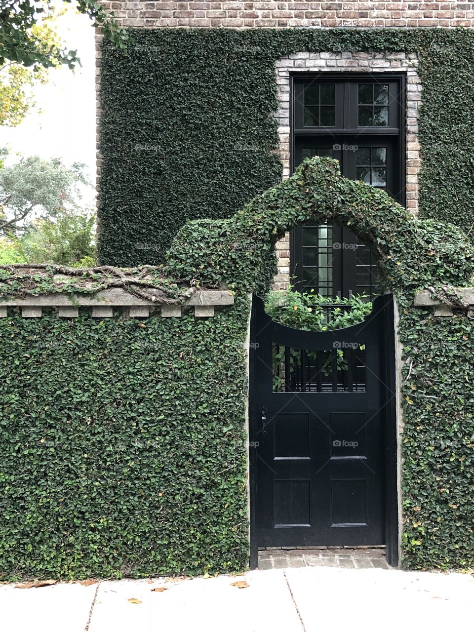 Architectural doors and iron gates