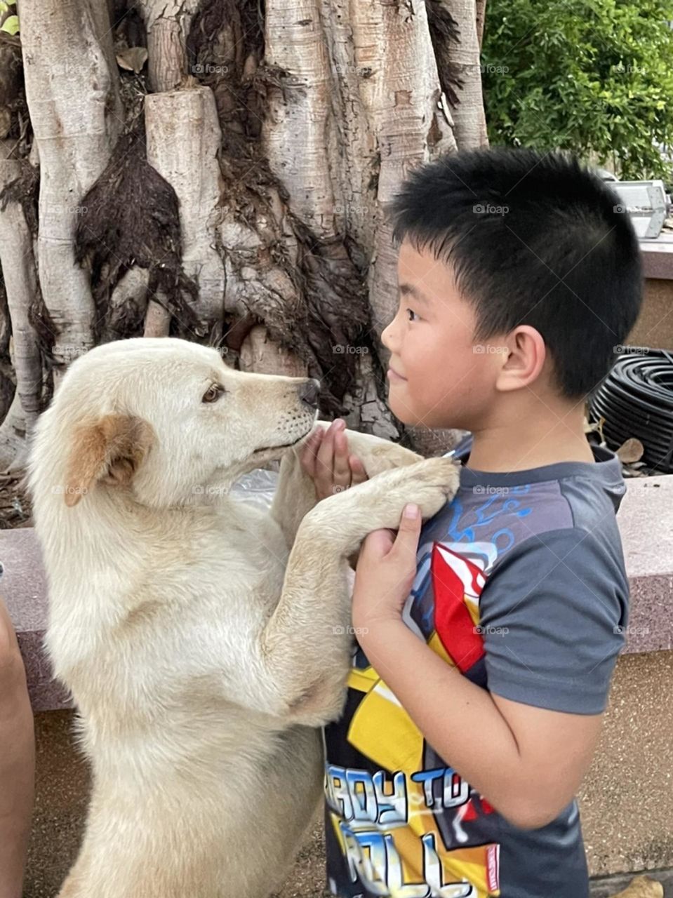 Walking Woofs : People on a walk with Dogs.