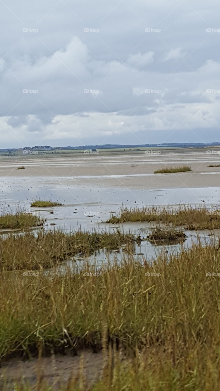 mud flats