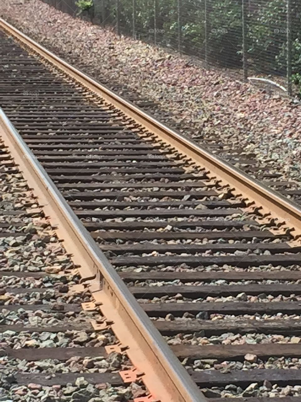 Railroad tracks. I've always been fascinated by trains and how they can run on thin rails