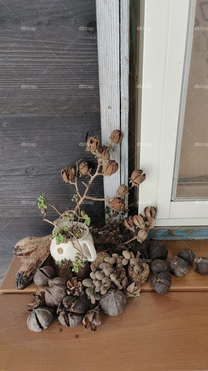 a closeup shot of a wooden board with a white wall and a flower