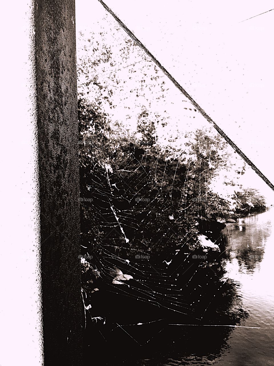 Walk in' in the Spiderwebs