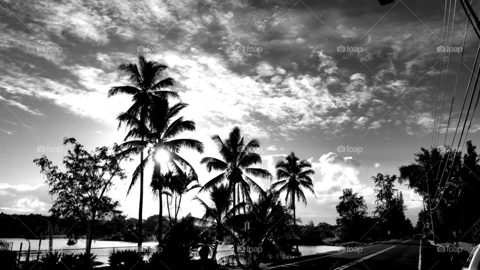 Black and white Sun set