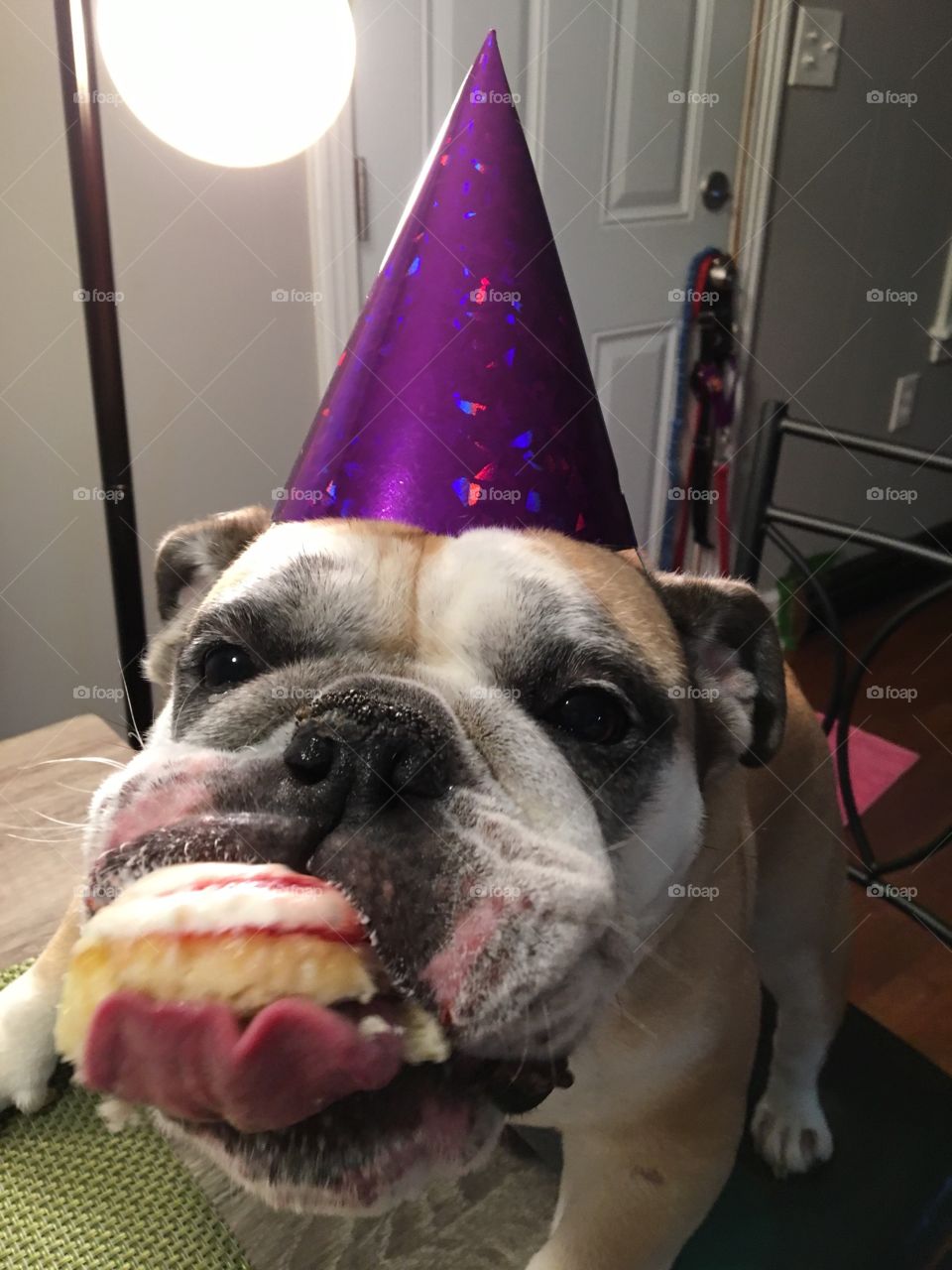 Everyone loves a cupcake!!!