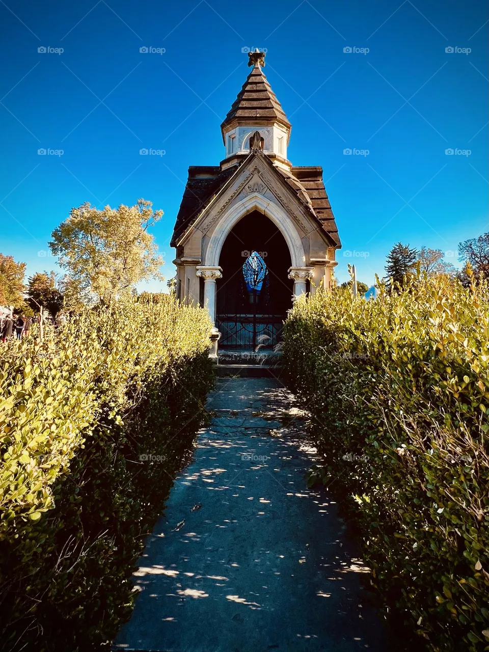 A hauntingly beautiful crypt in a big old cemetery 
