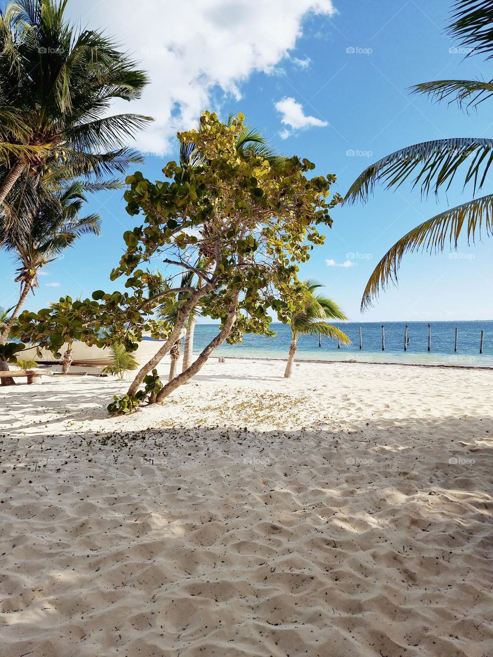 paisaje de playa paradisiaco con palmeras y árboles en día con nubes