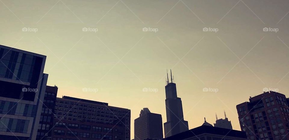 Chicago Willis Tower.