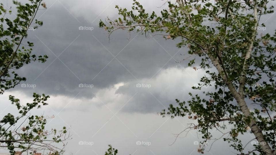 the sky before the rain