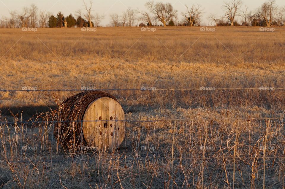 Roll of barbed wire