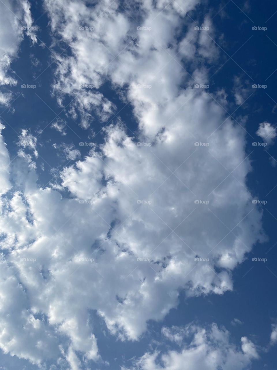 Beautiful to look at 