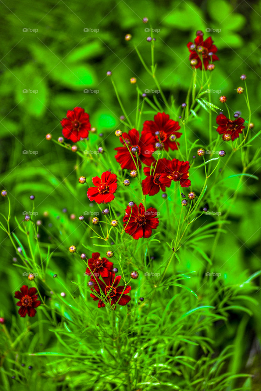 The most expressive mode to fall in love with nature