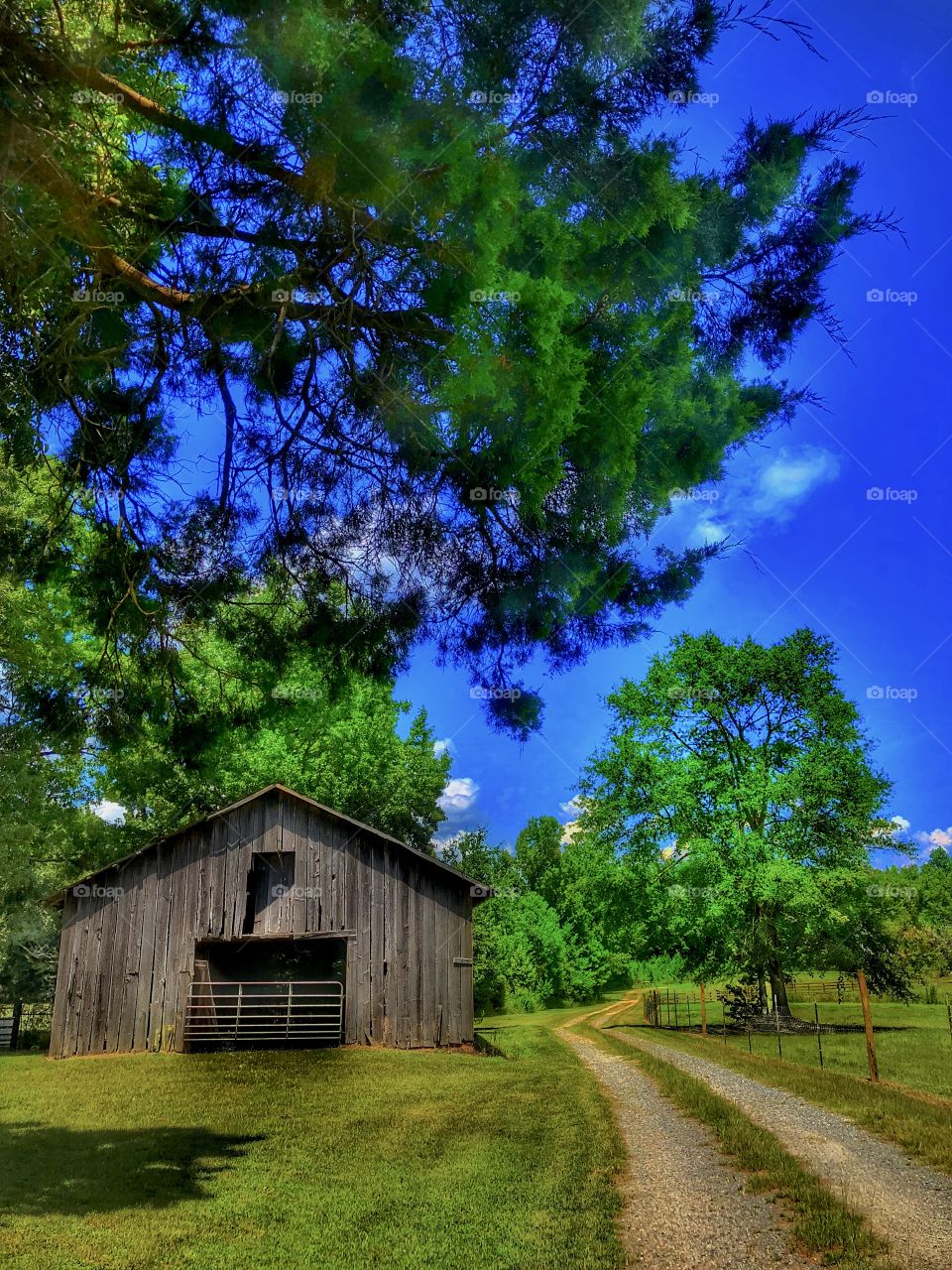 Happy Farm