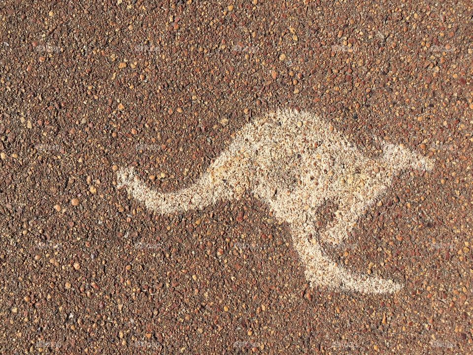 Kangaroo Logo on the floor, Perth