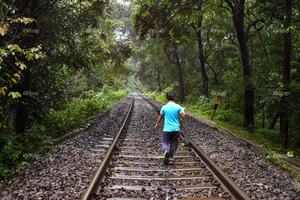 let's trek into the jungle