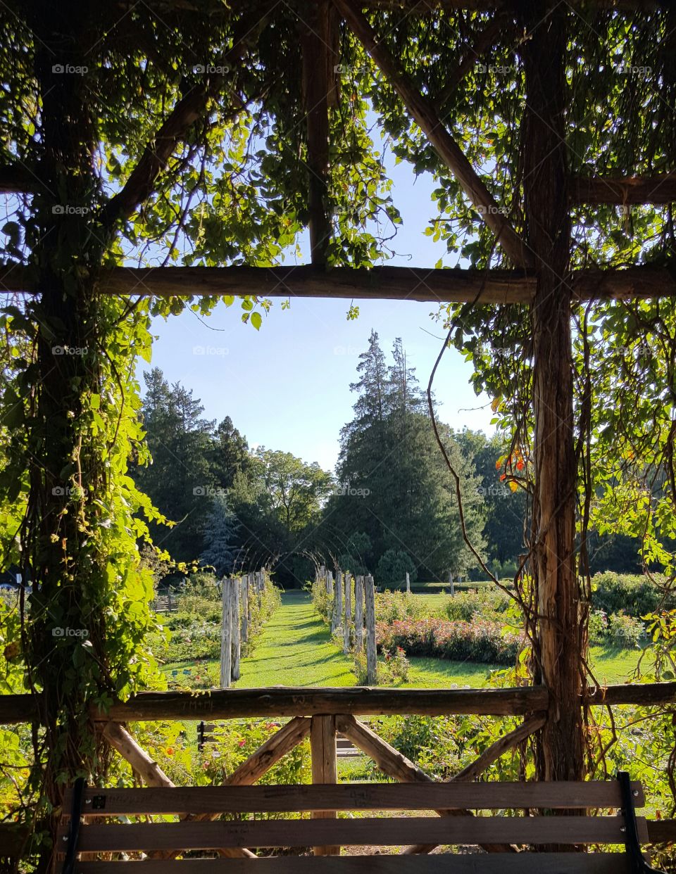 View outside the Gazebo