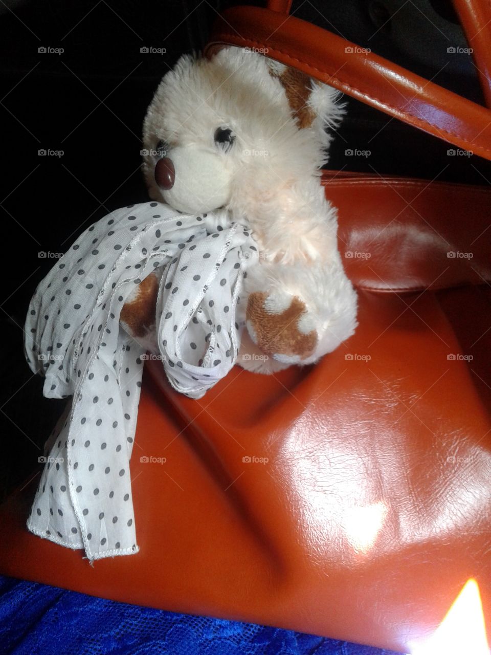 hanging teady bear on a travelling bag