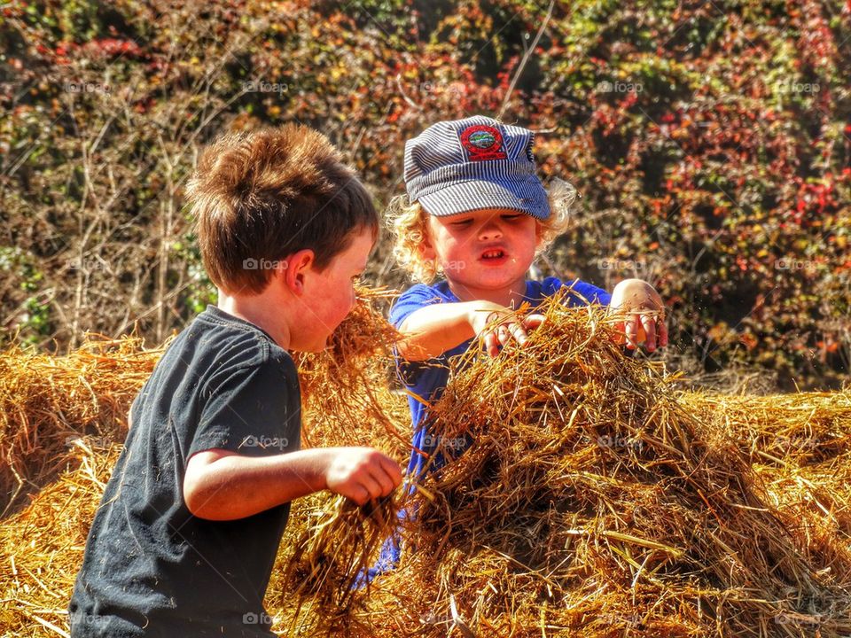 Boys Playing At The Farm