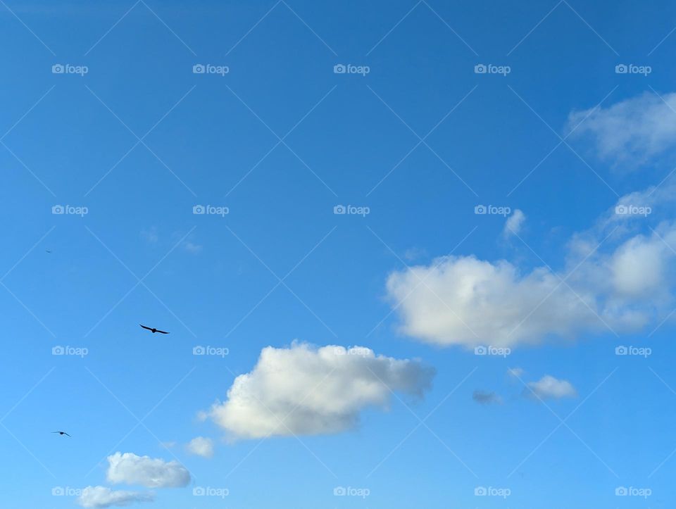 Photo of the Month (November)