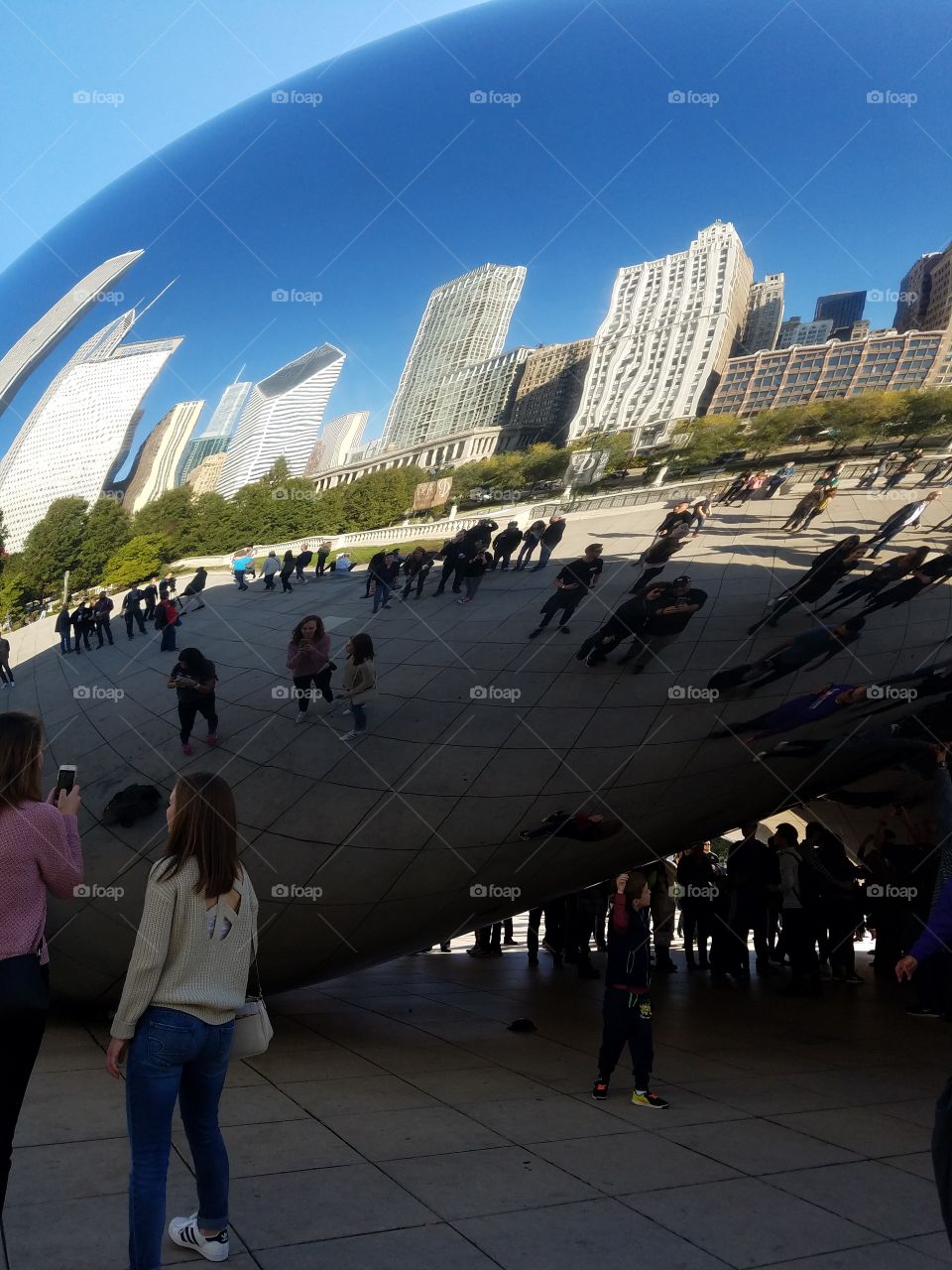 the bean