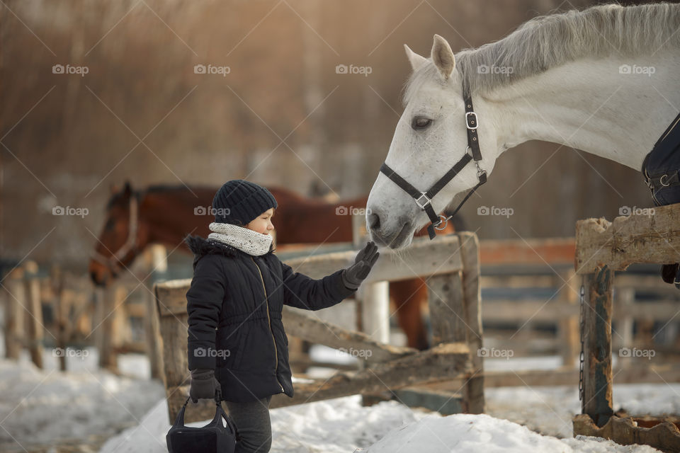 Little girl with horse on paddock 