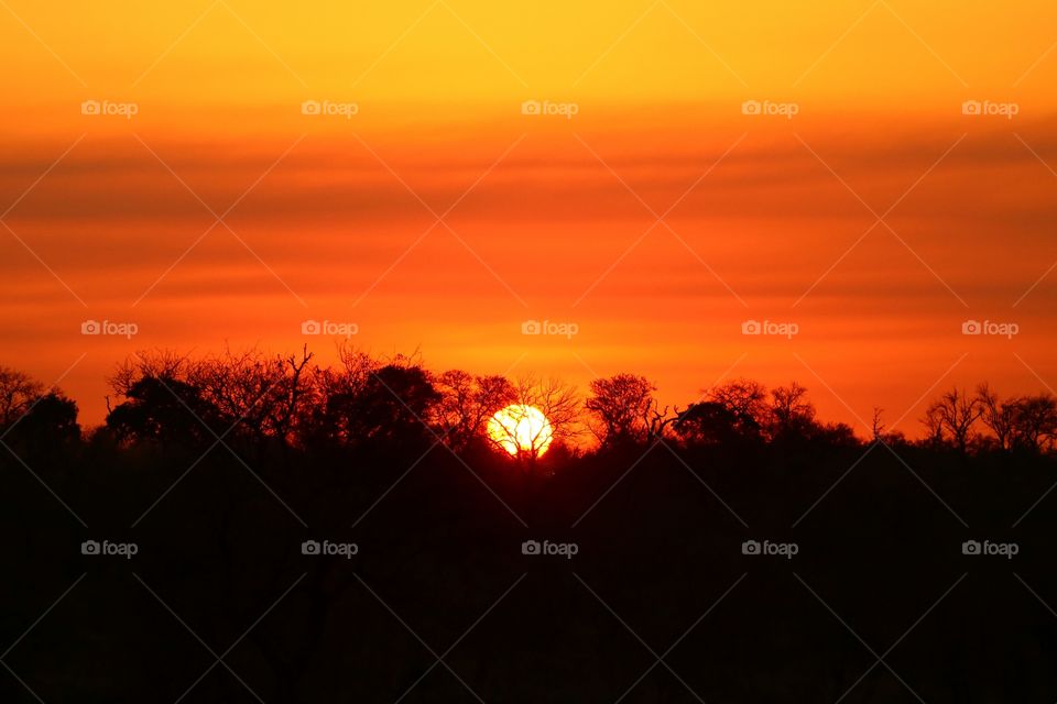 Sunset, Dawn, Evening, Silhouette, Sun