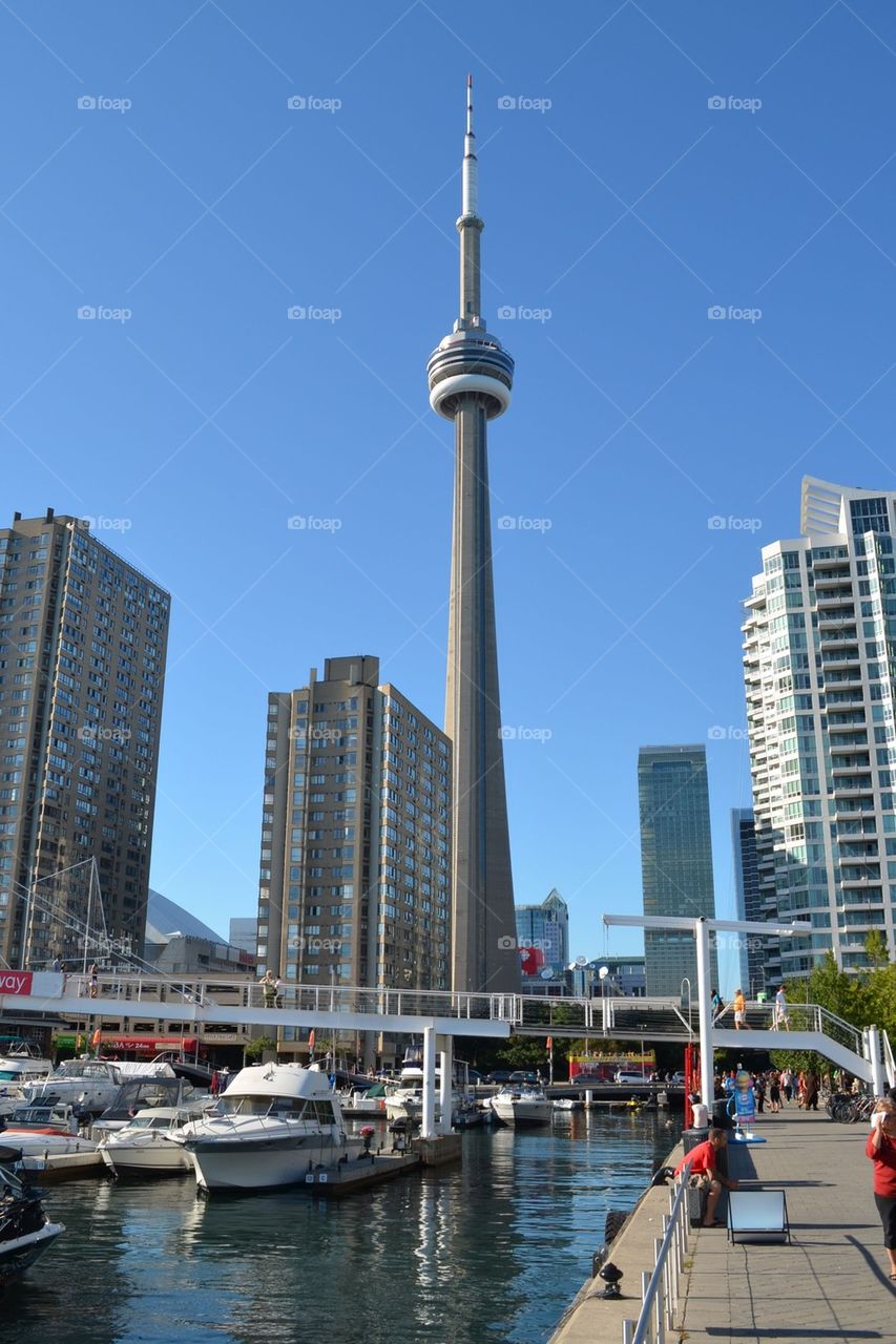 Toronto harbour front