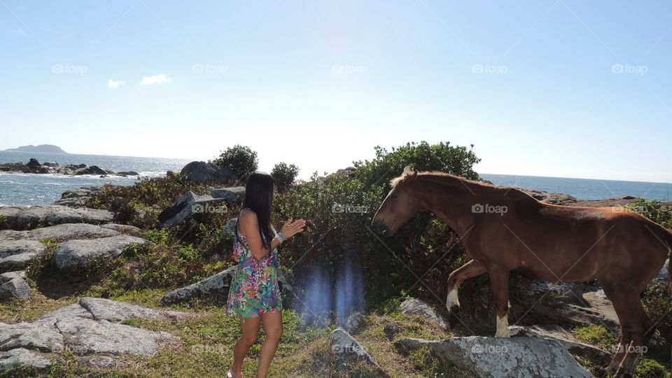 Magical Florianópolis