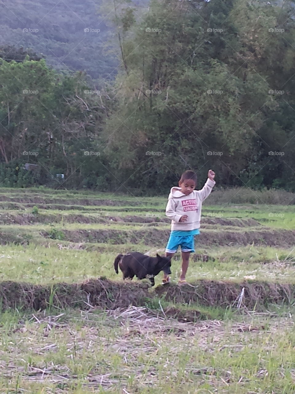 Boy playing with dog