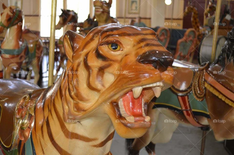 Dentzel Carousel, Meridian, MS