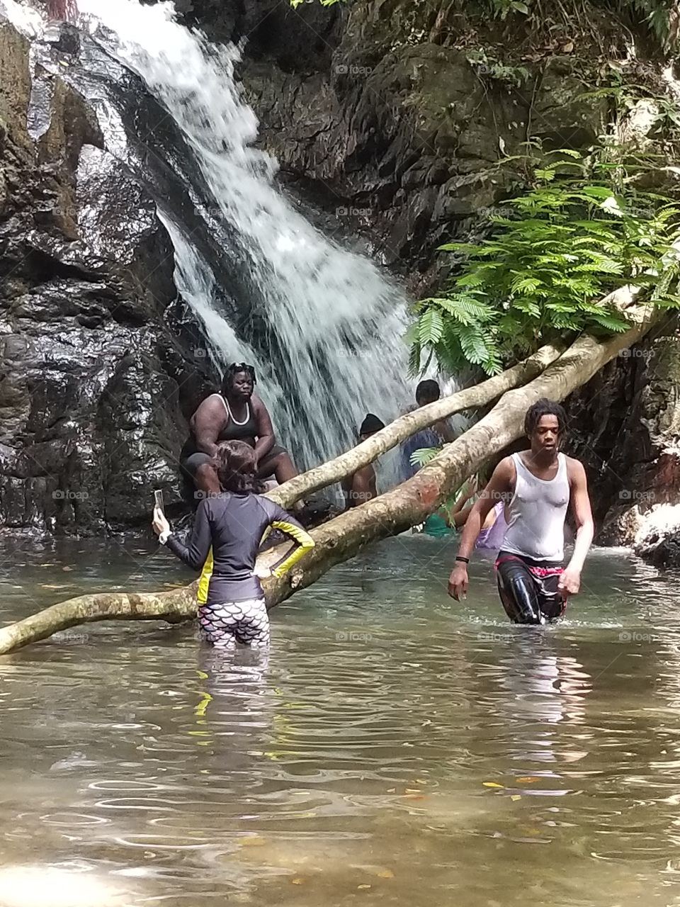 water falls river running water