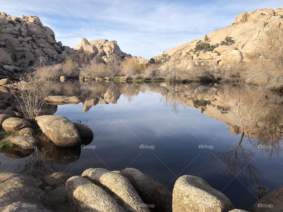 A beautiful lake at Joshua Tree National Park. 