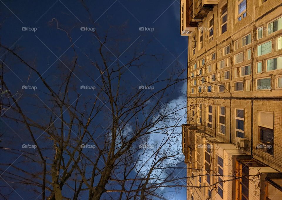 night sky against the background of a residential building and a tree