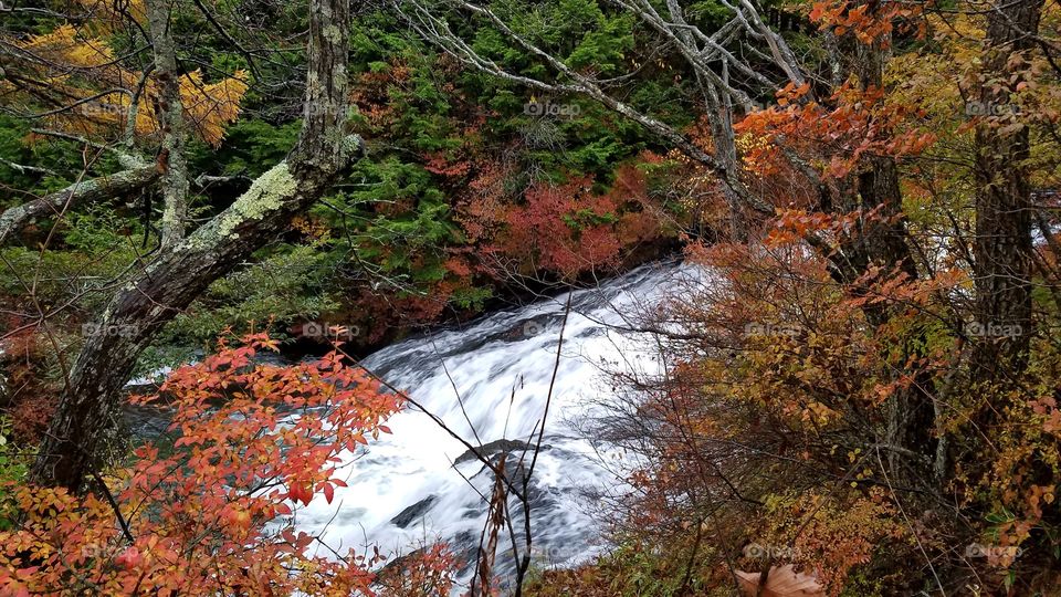 Fall water streams