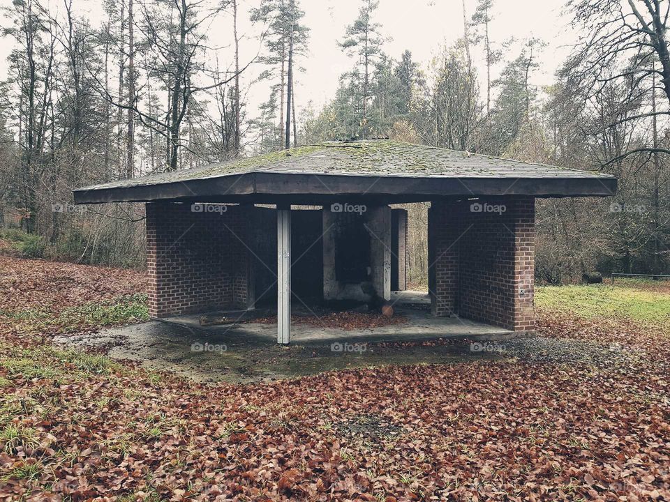 Burnt down house in a forest.