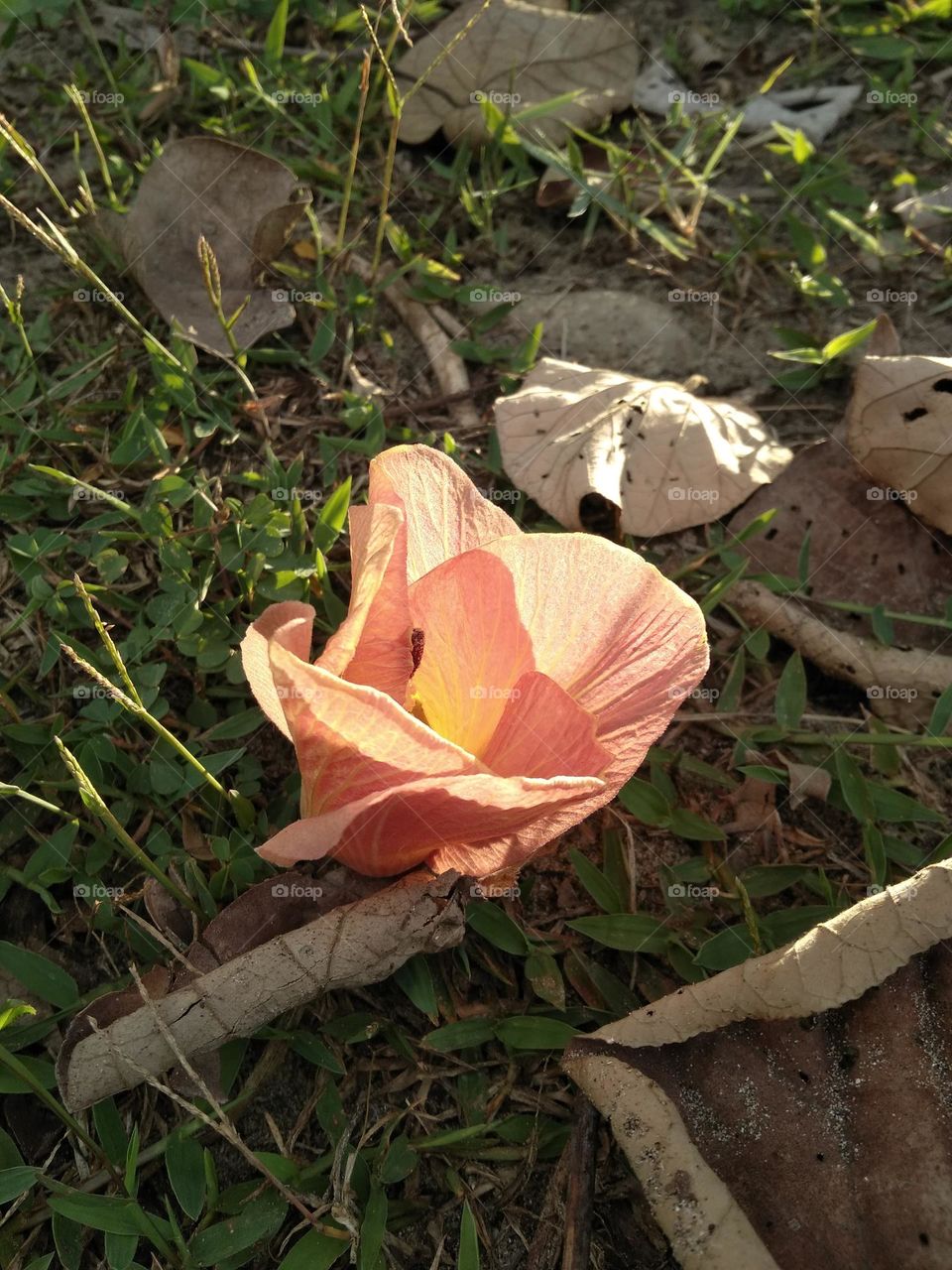 nah pening mikirin caption