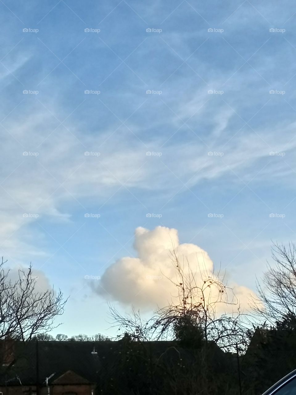 Floofy cloud