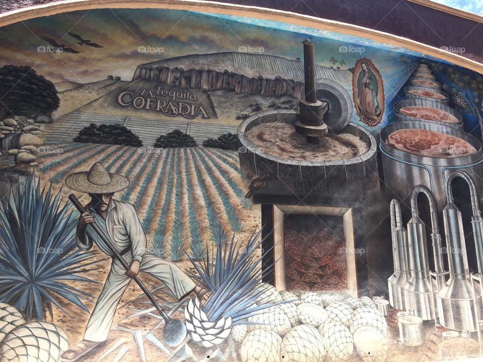 Tequila mural