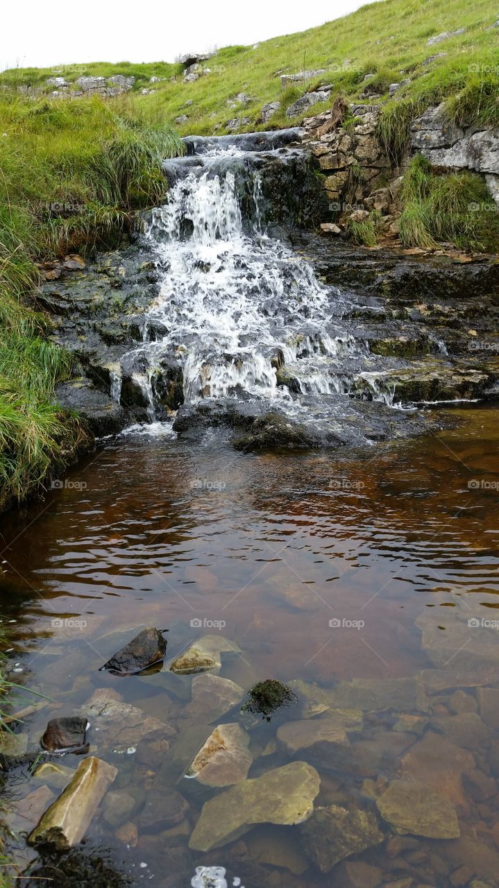 Water, River, Stream, No Person, Nature