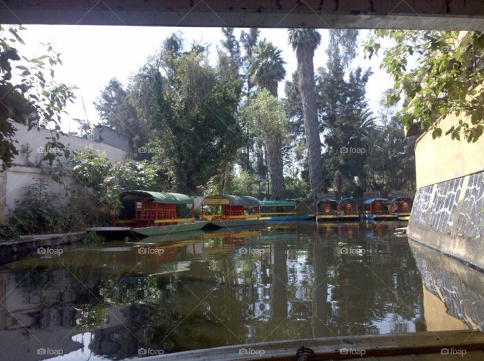 Floating gardens of Xochimilco 