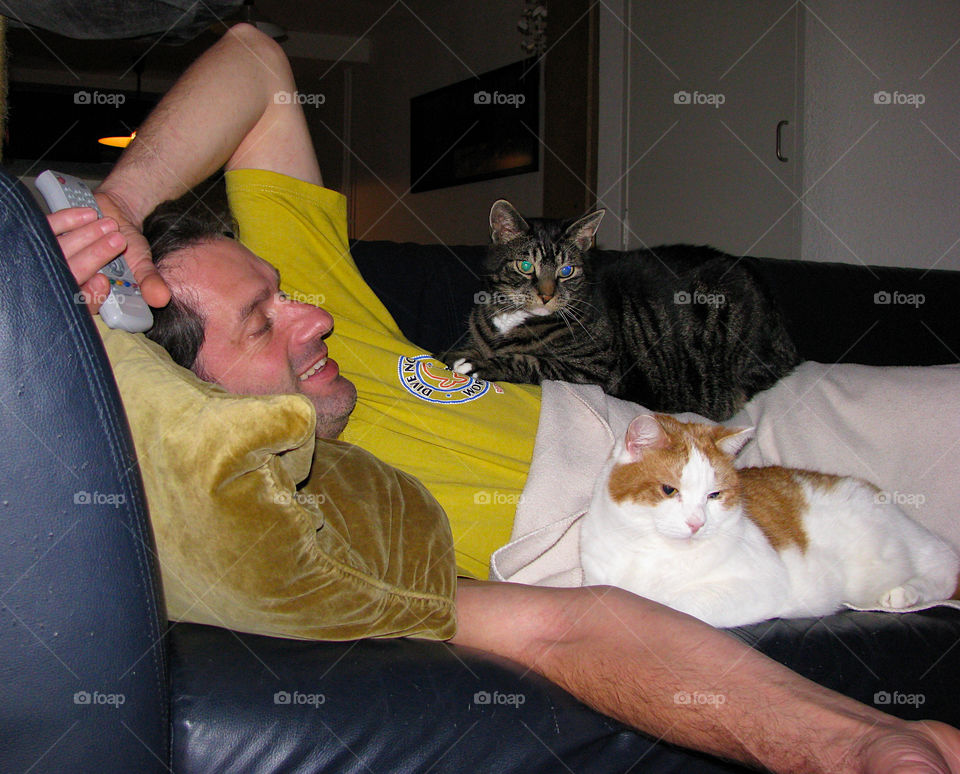 Two cats lying with man on the sofa