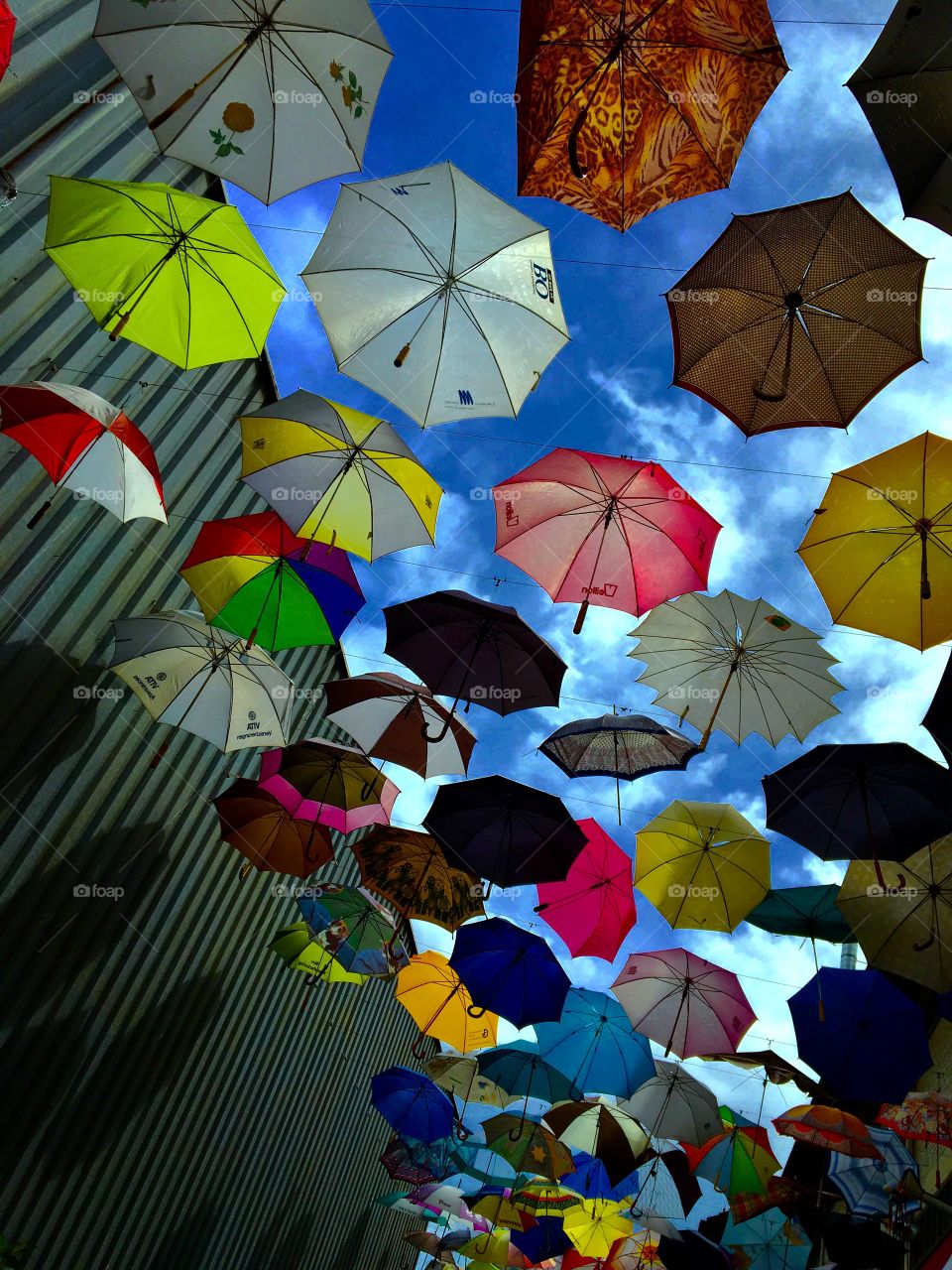 Umbrella street