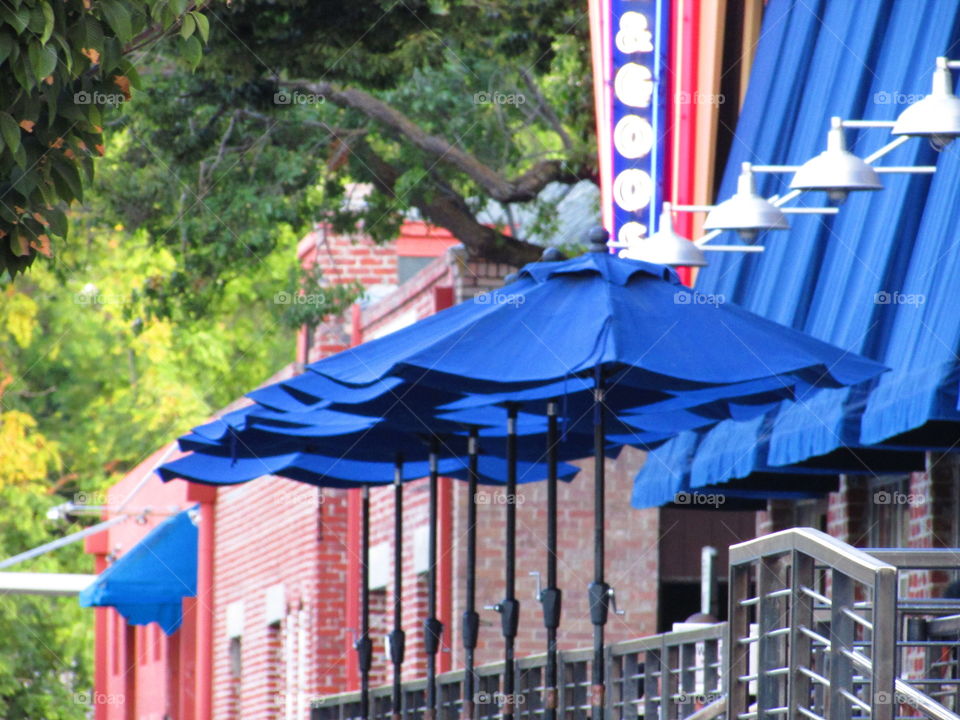 blue umbrellas