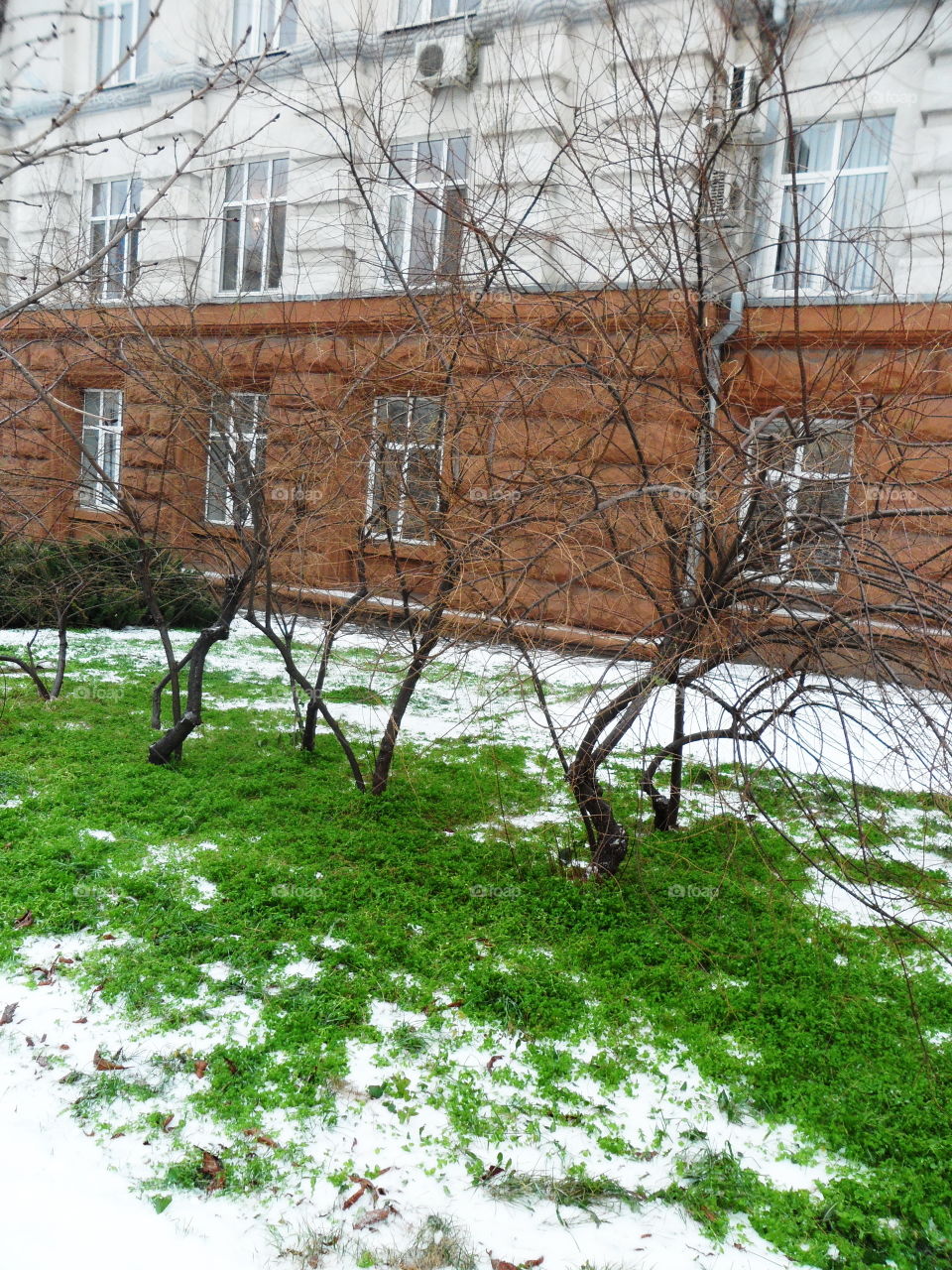 Beautiful urban life