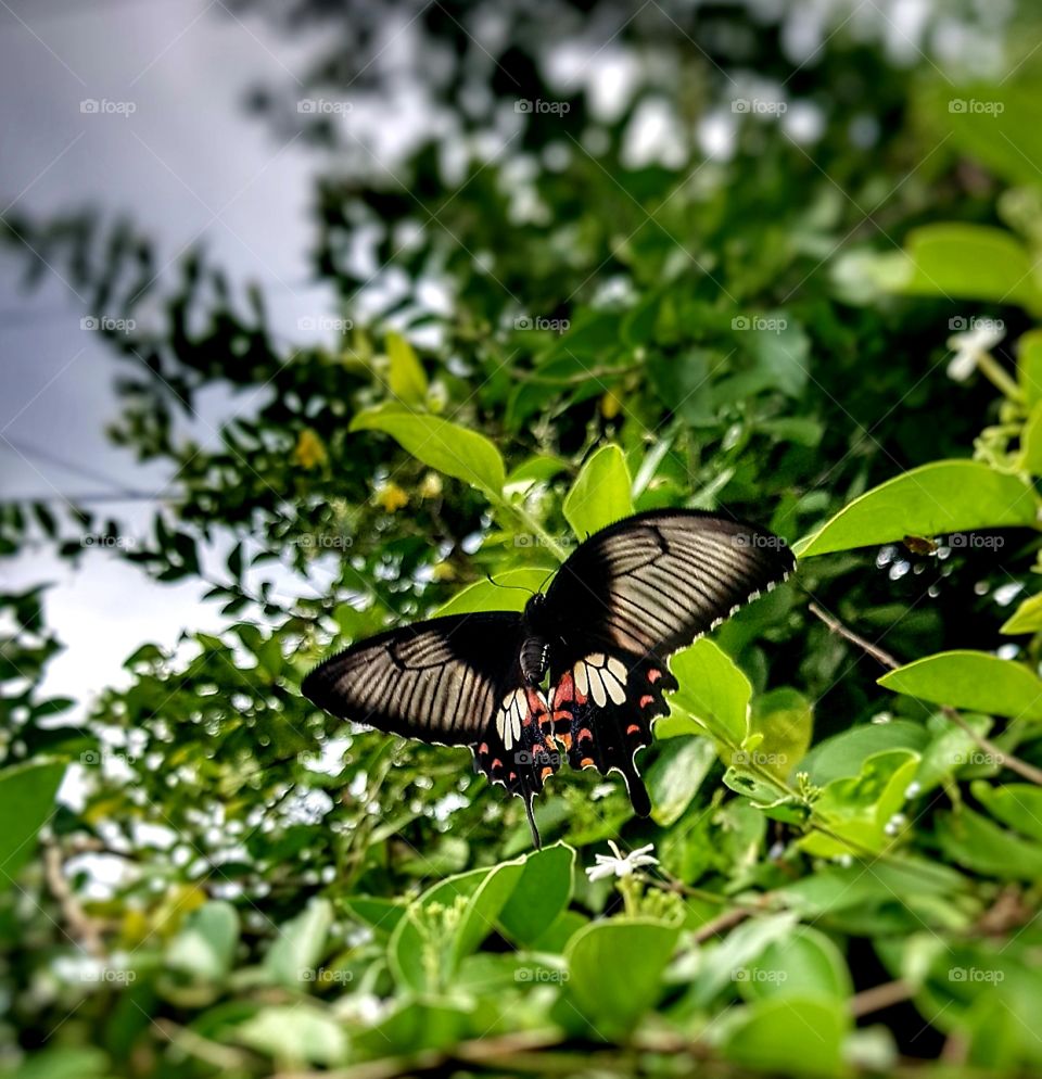 Photographing is  reduce to stress & relax for me.