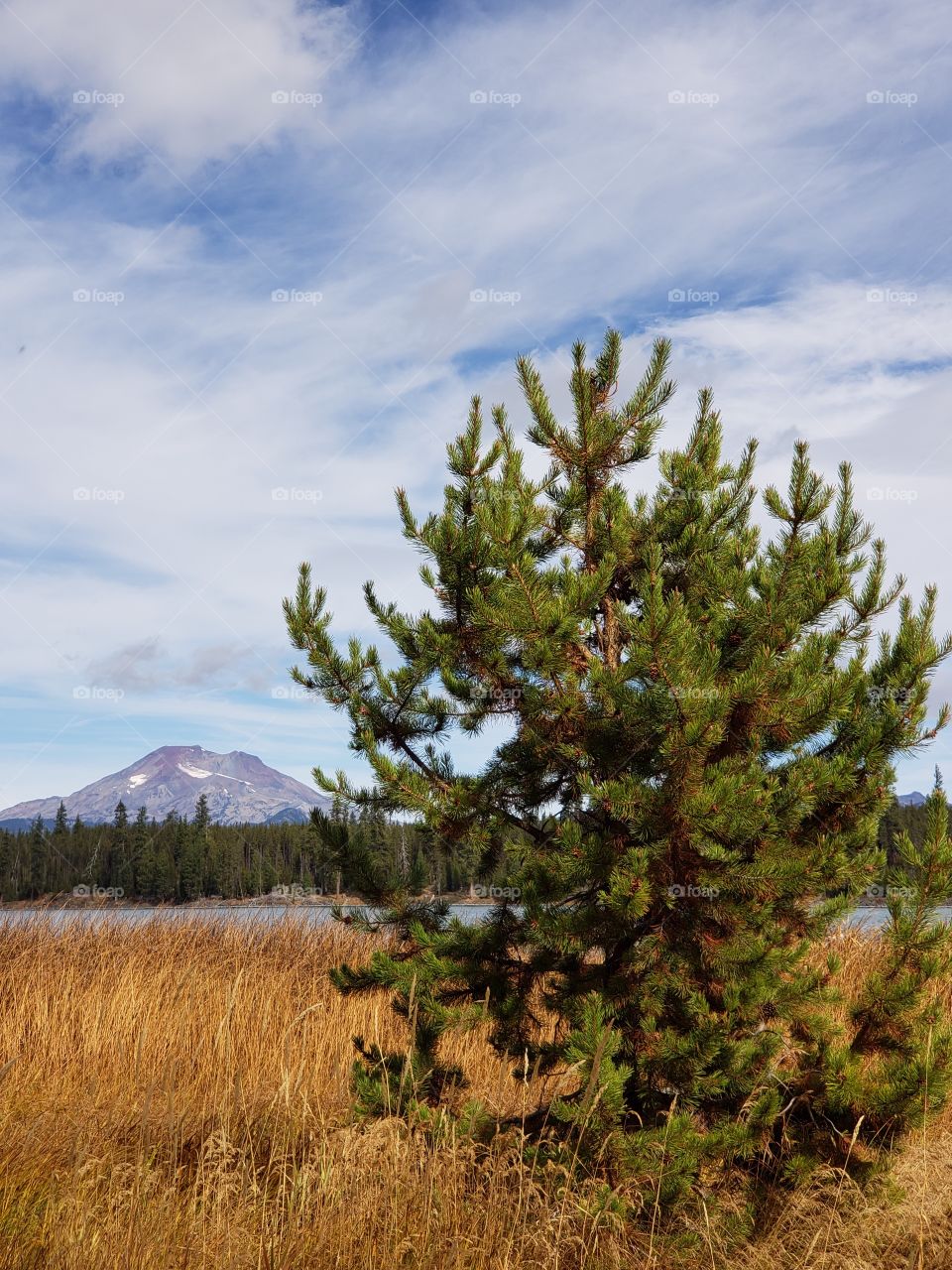 South Sister and Lava Lake 