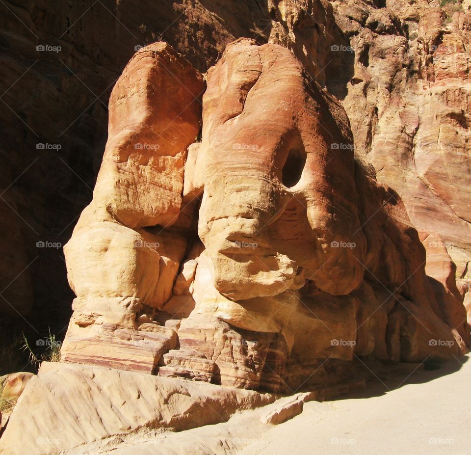 Fish-like rocks in the archeological site Petra. pink sandstone