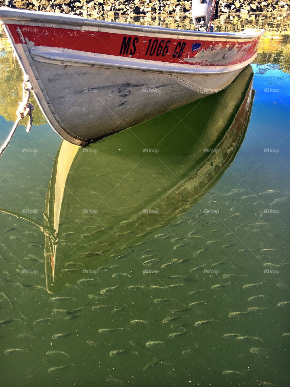 Boat Reflection