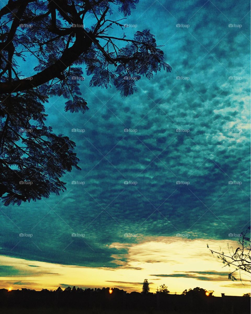 š
Desperte, #JundiaĆ, com a beleza desse cĆ©u de cores e nuvens!
Ćtima #semana a todos.
š
#sol #sun #sky #photo #nature #morning #alvorada #natureza #horizonte #fotografia #paisagem #inspiração #amanhecer #mobgraphy #mobgrafia #FotografeiEmJundiaĆ